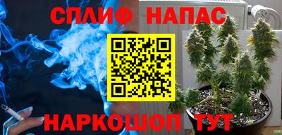 молекула духа Новодвинск