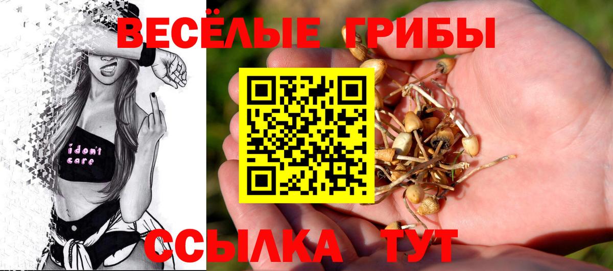 Галлюциногенные грибы мухоморы  Галлюциногенные грибы Psilocybine cubensis  сколько стоит  Вход с VPN  Тихорецк 